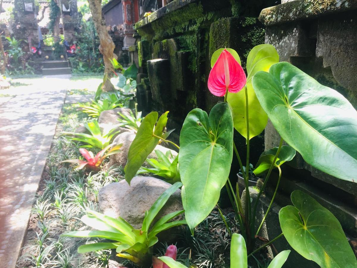 Tungeh Inn Ubud Extérieur photo
